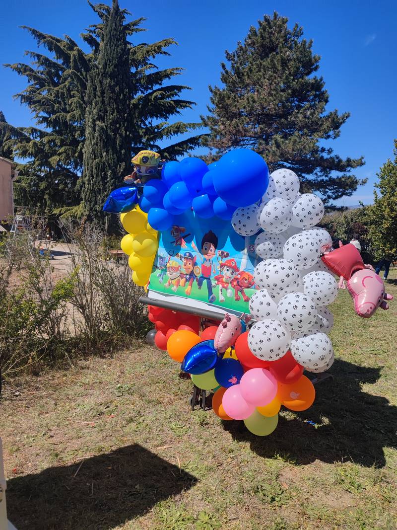 Attractions jour d'anniversaire Organisation d'Anniversaire à Mallemort